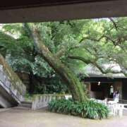 ヒメ日記 2025/08/21 11:56 投稿 新屋 熟女の風俗最終章 新横浜店