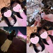 ヒメ日記 2025/04/17 15:45 投稿 ありさ ビギナーズ神戸