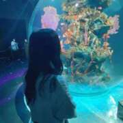 ヒメ日記 2025/02/12 15:47 投稿 ハルキ AMOUR（アムール）