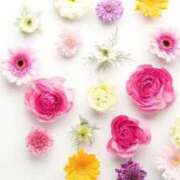 ヒメ日記 2025/02/16 23:31 投稿 絢(あや) グランドオペラ横浜