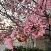 ヒメ日記 2025/03/26 19:32 投稿 絢(あや) グランドオペラ横浜