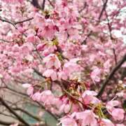 ヒメ日記 2026/03/28 21:01 投稿 絢(あや) グランドオペラ横浜