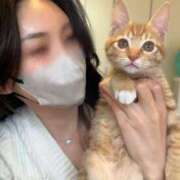 王妃　クレア ⚠️可愛すぎてキュン死注意⚠️ CLUB BLENDA 西中島・新大阪・南方店