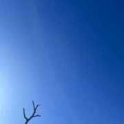 ヒメ日記 2024/12/25 07:06 投稿 三好 人妻風俗チャンネル