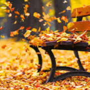 ヒメ日記 2025/01/09 06:59 投稿 三好 人妻風俗チャンネル