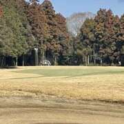 ヒメ日記 2025/03/09 10:09 投稿 三好 人妻風俗チャンネル