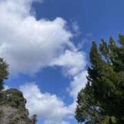 ヒメ日記 2025/03/09 13:19 投稿 三好 人妻風俗チャンネル