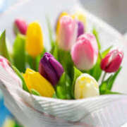 ヒメ日記 2025/03/20 07:16 投稿 三好 人妻風俗チャンネル