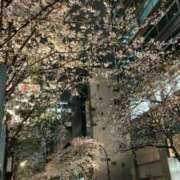 ヒメ日記 2025/03/28 21:13 投稿 三好 人妻風俗チャンネル