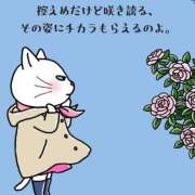 ヒメ日記 2025/04/05 07:08 投稿 三好 人妻風俗チャンネル