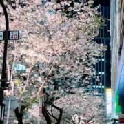 ヒメ日記 2025/04/07 20:08 投稿 三好 人妻風俗チャンネル