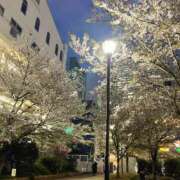 ヒメ日記 2025/04/09 19:39 投稿 三好 人妻風俗チャンネル