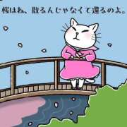 ヒメ日記 2025/04/12 07:31 投稿 三好 人妻風俗チャンネル