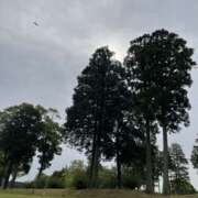 ヒメ日記 2025/04/20 11:57 投稿 三好 人妻風俗チャンネル