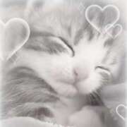 ヒメ日記 2025/05/13 07:27 投稿 三好 人妻風俗チャンネル