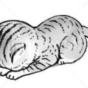 ヒメ日記 2025/05/13 20:26 投稿 三好 人妻風俗チャンネル