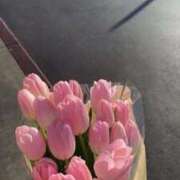 ヒメ日記 2025/05/15 07:00 投稿 三好 人妻風俗チャンネル