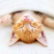 ヒメ日記 2025/05/28 07:08 投稿 三好 人妻風俗チャンネル