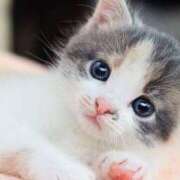 ヒメ日記 2025/05/30 07:25 投稿 三好 人妻風俗チャンネル