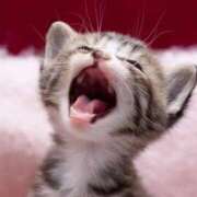 ヒメ日記 2025/06/01 09:29 投稿 三好 人妻風俗チャンネル