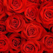 ヒメ日記 2025/08/07 22:27 投稿 三好 人妻風俗チャンネル