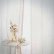 ヒメ日記 2025/08/23 07:16 投稿 三好 人妻風俗チャンネル