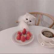 ヒメ日記 2025/09/13 07:38 投稿 三好 人妻風俗チャンネル