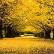 ヒメ日記 2025/10/03 07:09 投稿 三好 人妻風俗チャンネル