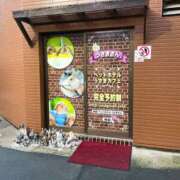 ヒメ日記 2025/10/05 13:47 投稿 三好 人妻風俗チャンネル