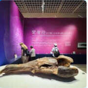 ヒメ日記 2025/10/12 10:04 投稿 三好 人妻風俗チャンネル