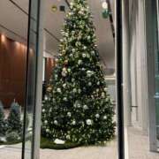 ヒメ日記 2025/11/22 07:38 投稿 三好 人妻風俗チャンネル