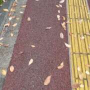 ヒメ日記 2025/12/02 08:30 投稿 三好 人妻風俗チャンネル