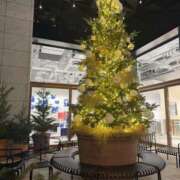 ヒメ日記 2025/12/04 18:48 投稿 三好 人妻風俗チャンネル