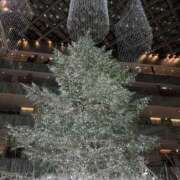 ヒメ日記 2025/12/19 22:06 投稿 三好 人妻風俗チャンネル