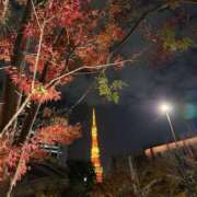 ヒメ日記 2025/12/20 16:56 投稿 三好 人妻風俗チャンネル