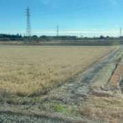 ヒメ日記 2026/01/01 11:47 投稿 三好 人妻風俗チャンネル