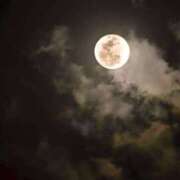 ヒメ日記 2026/01/04 21:31 投稿 三好 人妻風俗チャンネル