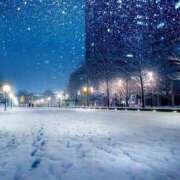 ヒメ日記 2026/02/08 04:37 投稿 三好 人妻風俗チャンネル