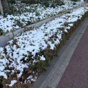 ヒメ日記 2026/02/09 20:35 投稿 三好 人妻風俗チャンネル