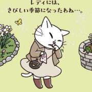 ヒメ日記 2026/03/21 07:12 投稿 三好 人妻風俗チャンネル