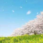 ヒメ日記 2026/03/29 12:39 投稿 三好 人妻風俗チャンネル