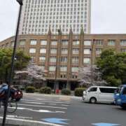 ヒメ日記 2026/03/31 09:00 投稿 三好 人妻風俗チャンネル