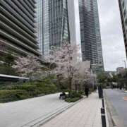 ヒメ日記 2026/04/07 08:20 投稿 三好 人妻風俗チャンネル