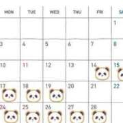 ヒメ日記 2025/02/14 01:55 投稿 夜桜はるき 全裸の極みorドッキング痴漢電車