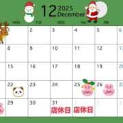 ヒメ日記 2025/12/18 23:05 投稿 夜桜はるき 全裸の極みorドッキング痴漢電車