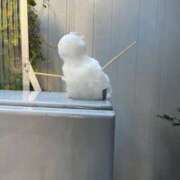 ヒメ日記 2026/01/04 23:05 投稿 夜桜はるき 全裸の極みorドッキング痴漢電車