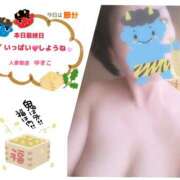 ヒメ日記 2025/02/02 09:36 投稿 【熟女】ゆきこ 人妻華道－上田店