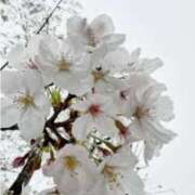 ヒメ日記 2025/04/09 20:13 投稿 【熟女】ゆきこ 人妻華道－上田店