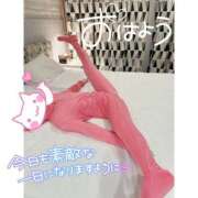 ヒメ日記 2025/11/27 08:35 投稿 つばさ♡【No. 1美少女】 さくらんぼ女学院