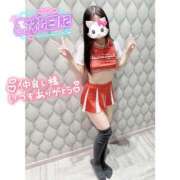 ヒメ日記 2026/01/24 16:40 投稿 つばさ♡【No. 1美少女】 さくらんぼ女学院